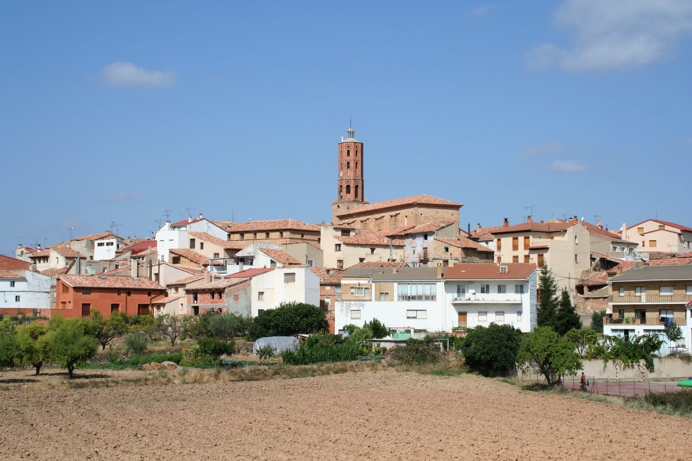 La Mata de los Olmos